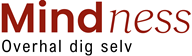 Mindness Evaluering
